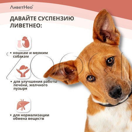 ЛиветНео для кошек и мелких собак, 50 мл