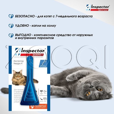 Инспектор Квадро К Капли для кошек, 1 пипетка