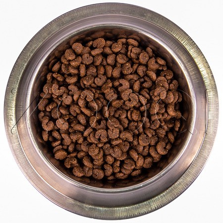 Корм Monge Dog Speciality Line Monoprotein Adult для собак (кролик, рис, картофель)