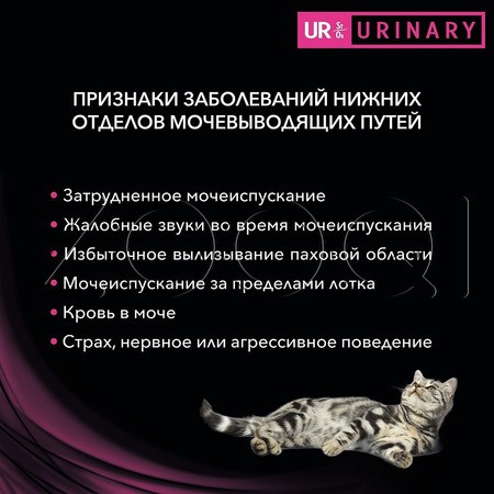 Purina UR ST/OX Urinary при болезни нижних отделов мочевыводящих путей (Лосось)
