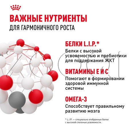 Royal Canin Mini Puppy (кусочки в соусе), 85 г