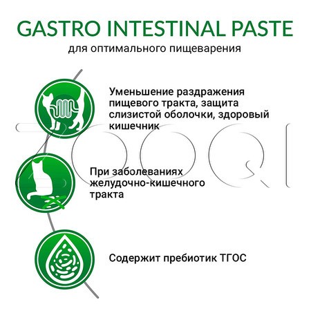 Паста Gimcat Gastro Intestinal Paste для кошек