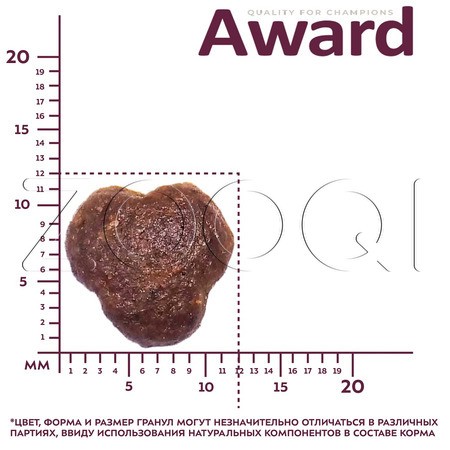 Корм Award Indoor Big Сats для кошек (говядина, курица, брокколи, юкка)