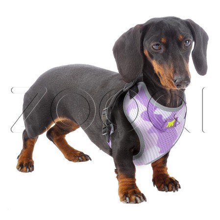 Ferplast Шлейка NIKITA FASHION из дышащего нейлона для собак и кошек