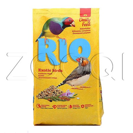 Rio для экзотических птиц