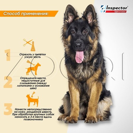Инспектор Квадро С Капли для собак, 1 пипетка