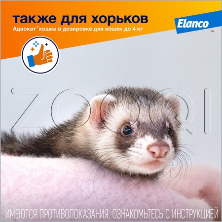 Адвокат Капли на холку для кошек