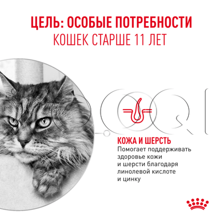 Корм Royal Canin Ageing 11+ для кошек (птица)