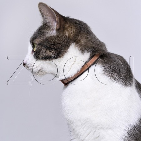 Барс Ошейник инсектоакарицидный для кошек