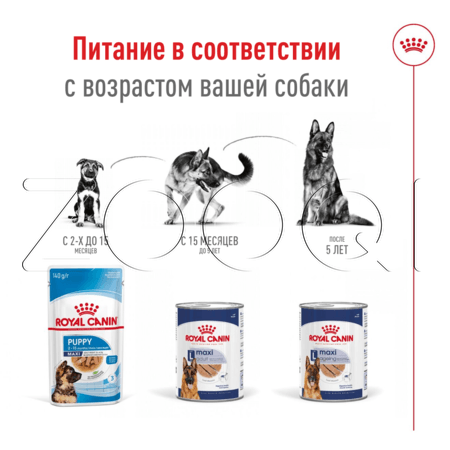 Royal Canin Maxi Ageing для собак (паштет), 410 г