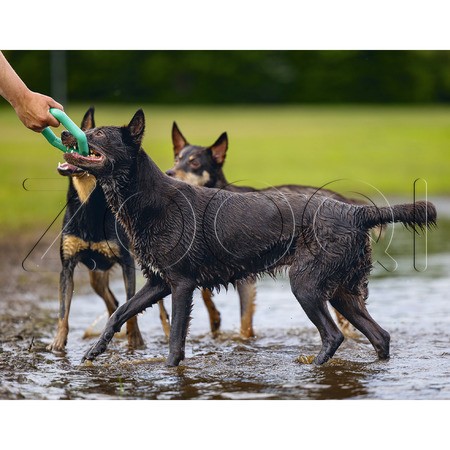 Beeztees Игрушка «Плавающее резиновое кольцо», 15 см