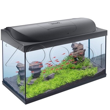 Tetra Стеклянный аквариум Starter Line LED black, черный 105 л