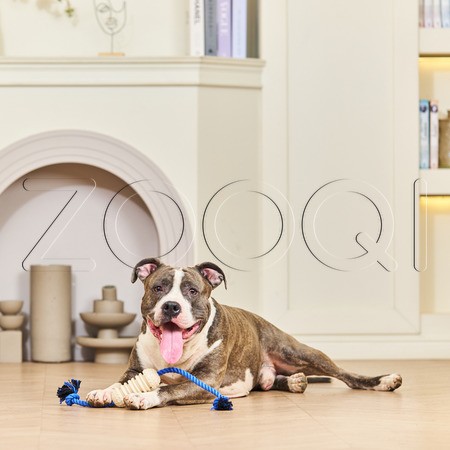 ПРОСТО КОСМОС Игрушка-перетяжка «Звёздная капсула» для собак, 50 см