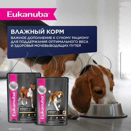 Корм Eukanuba для собак (ягненок)