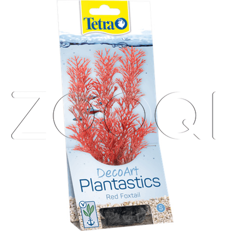 Tetra Перистолистник DecoArt Plant M RedFoxtail 23см