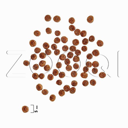 Корм Брит Премиум Cat Kitten для котят (курица, лосось)