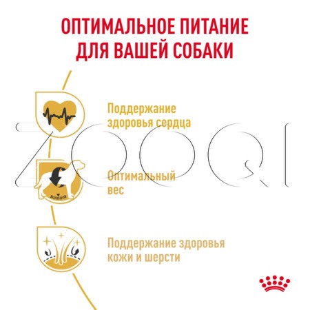 Royal Canin Cavalier King Charles Adult