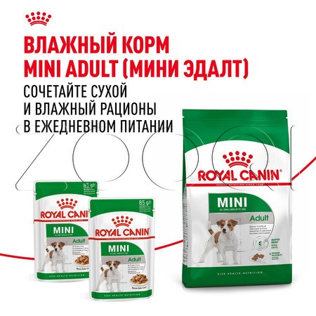Royal Canin Mini Adult
