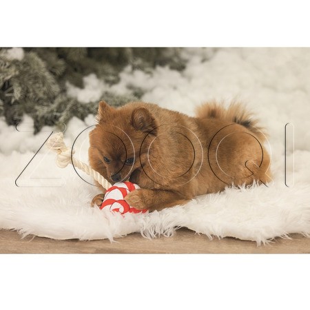 Beeztees Игрушка «Рождественский леденец» для собак, 25 см