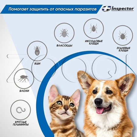Инспектор Спрей для собак и кошек, 100 мл