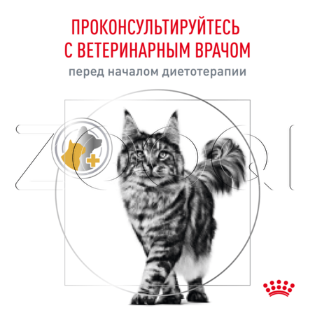 Корм Royal Canin Urinary S/O для кошек (птица)