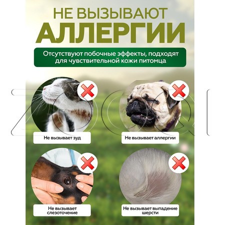 Чистотел Био Капли для средних и крупных собак, 2 пипетки