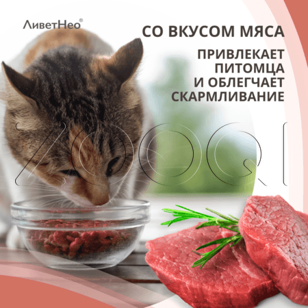 ЛиветНео для кошек и мелких собак, 50 мл