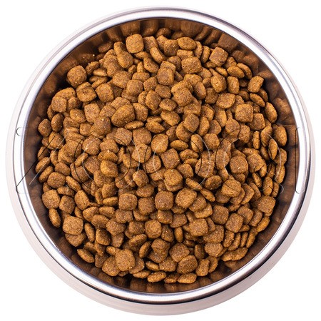 Корм Monge VetSolution Cat Urinary Struvite для кошек (лосось)