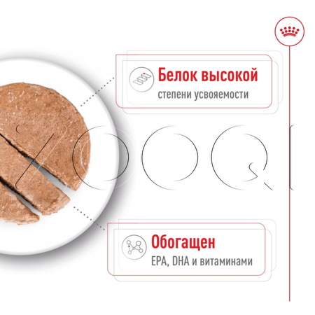 Royal Canin Maxi Ageing для собак (паштет), 410 г