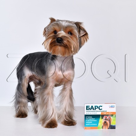 Барс Капли инсектоакарицидные для собак