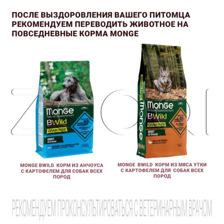 Корм Monge VetSolution Dog Hepatic для собак (горох, птица, рыба)