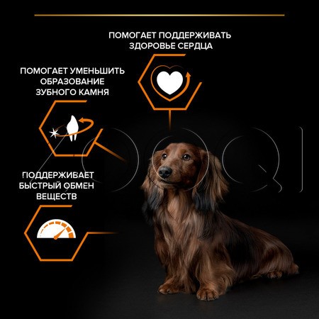 Корм Purina Pro Plan Everyday Nutrition Small & Mini Adult для собак (курица)