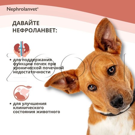 Нефроланвет Паста для кошек и собак, 75 г