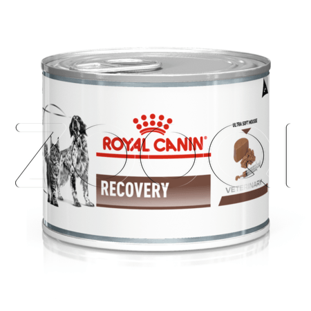 Royal Canin Recovery (нежный мусс), 195 г