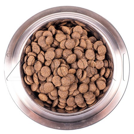 Корм Monge Dog Speciality Line Monoprotein Adult для собак (ягненок, рис, картофель)