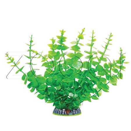 Laguna Растение 30005AP с распылителем "Бакопа" зеленая, 90*90*320мм, (блистер)