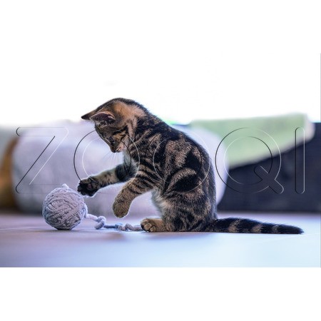 Beeztees Игрушка шерстяной мяч на шнурке «Isar» для котят, 35 см