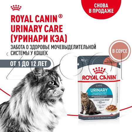 Пауч Royal Canin Urinary Care для кошек (мелкие кусочки в соусе), 85 г