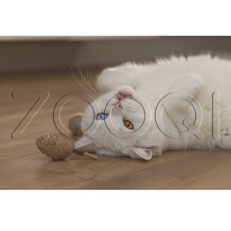 Beeztees Игрушка «Орех Терри» для кошек, 2 шт