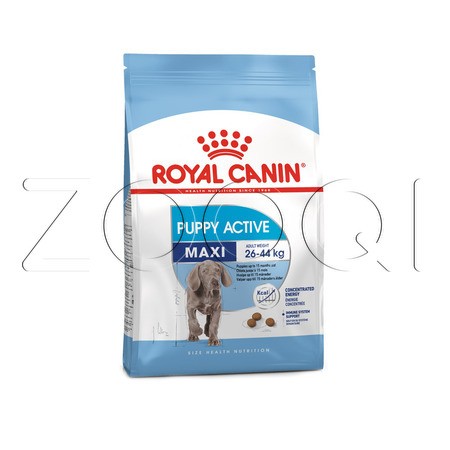 Royal Canin Maxi Junior Active, 15 кг