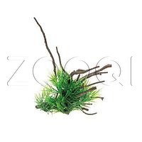 Aquael Растение на корне B2207 24×12×16
