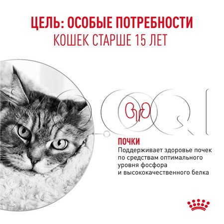 Пауч Royal Canin Ageing 15+ для кошек (кусочки в соусе), 85 г