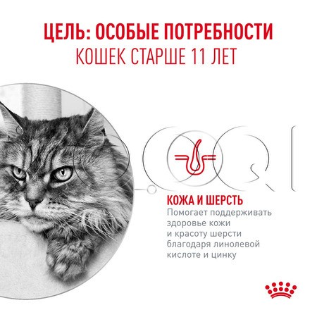 Мусс Royal Canin Ageing 11+ AirLift для кошек (мясо), 85 г