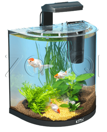 Tetra Аквариумный комплект AquaArt Explorer LED Goldfish black 30 л