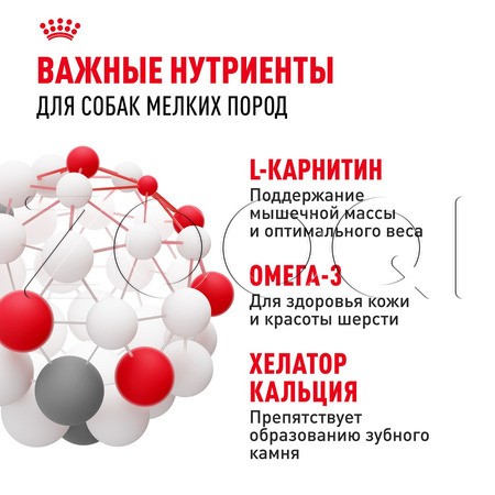 Royal Canin Mini Adult