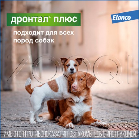 Дронтал Плюс Антигельминтик для собак, 6 таб
