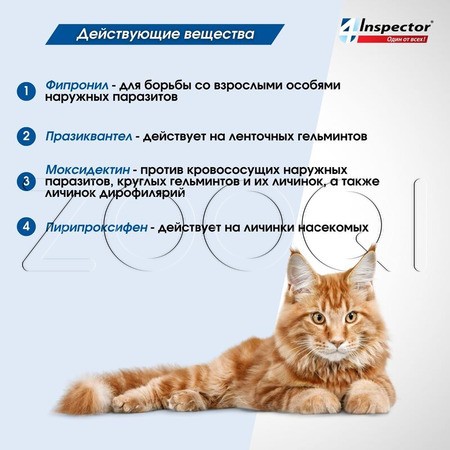 Инспектор Квадро К Капли для кошек, 1 пипетка