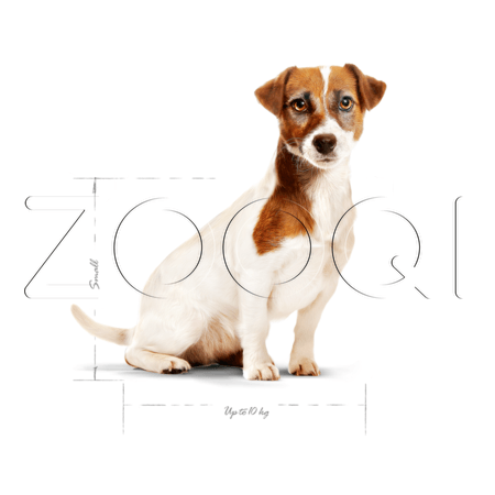 Корм Royal Canin Mini Adult 8+ для собак (курица), 2 кг