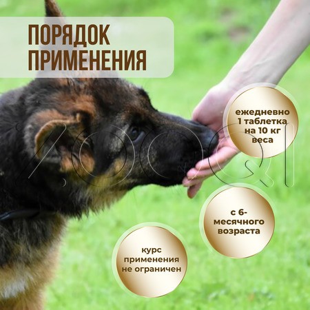 Unitabs BrewersComplex с пивными дрожжами для крупных собак