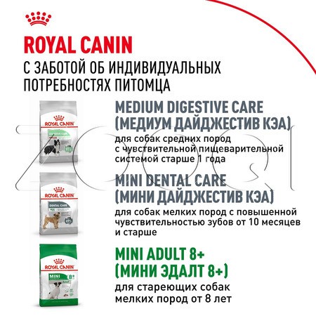 Royal Canin Mini Adult